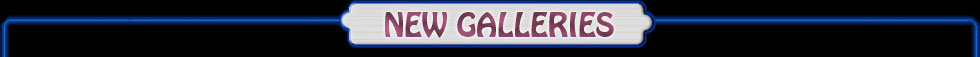 new galleries logo image